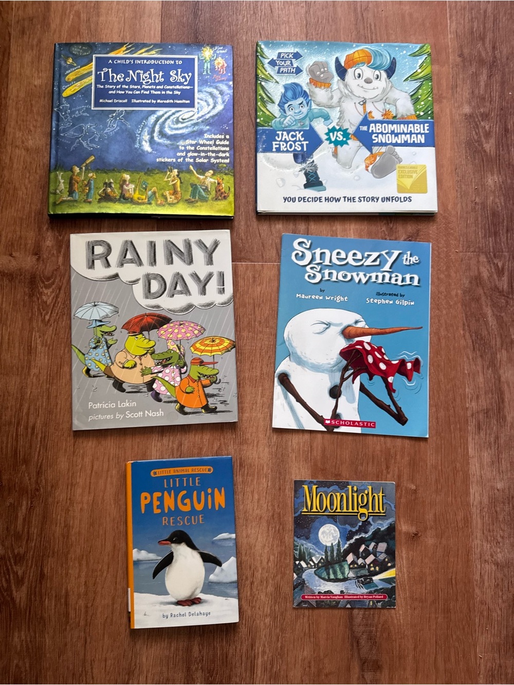 Children's Winter & Weather Book Lot of 6 - Sneezy the Snowman, Night Sky